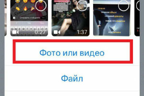 Ссылка на кракен через тор