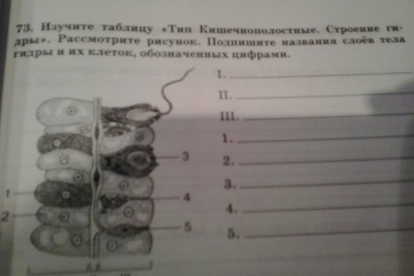 Сайт kraken тор